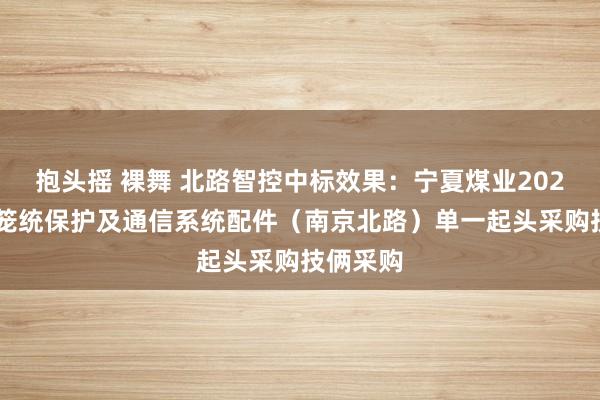 抱头摇 裸舞 北路智控中标效果：宁夏煤业2024年8月笼统保护及通信系统配件（南京北路）单一起头采购技俩采购