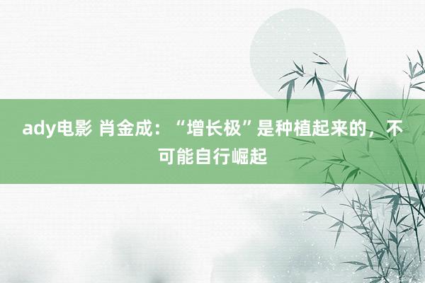 ady电影 肖金成：“增长极”是种植起来的，不可能自行崛起