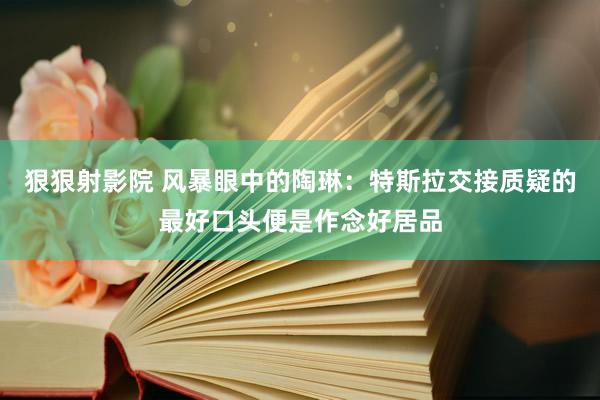 狠狠射影院 风暴眼中的陶琳：特斯拉交接质疑的最好口头便是作念好居品