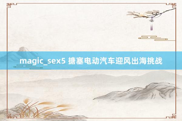 magic_sex5 搪塞电动汽车迎风出海挑战