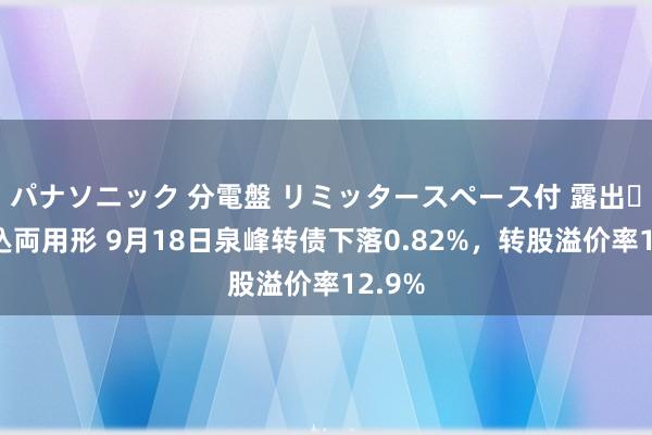 パナソニック 分電盤 リミッタースペース付 露出・半埋込両用形 9月18日泉峰转债下落0.82%，转股溢价率12.9%