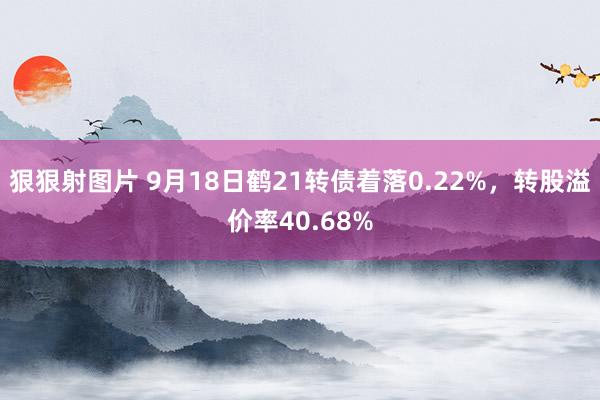 狠狠射图片 9月18日鹤21转债着落0.22%，转股溢价率40.68%