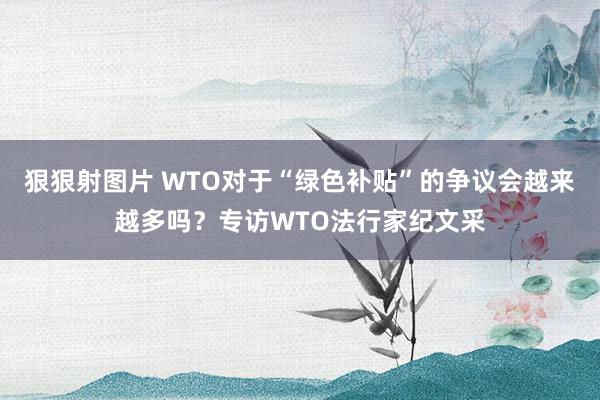 狠狠射图片 WTO对于“绿色补贴”的争议会越来越多吗？专访WTO法行家纪文采