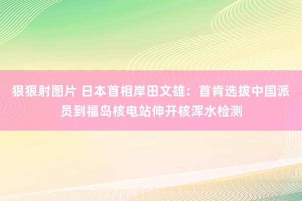 狠狠射图片 日本首相岸田文雄：首肯选拔中国派员到福岛核电站伸开核浑水检测