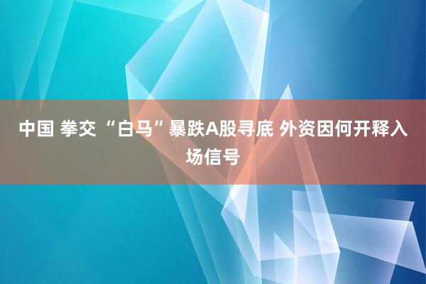 中国 拳交 “白马”暴跌A股寻底 外资因何开释入场信号