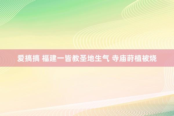 爱搞搞 福建一皆教圣地生气 寺庙莳植被烧