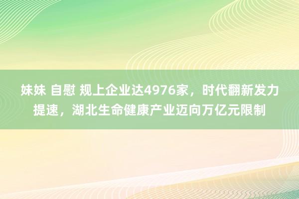 妹妹 自慰 规上企业达4976家，时代翻新发力提速，湖北生命健康产业迈向万亿元限制