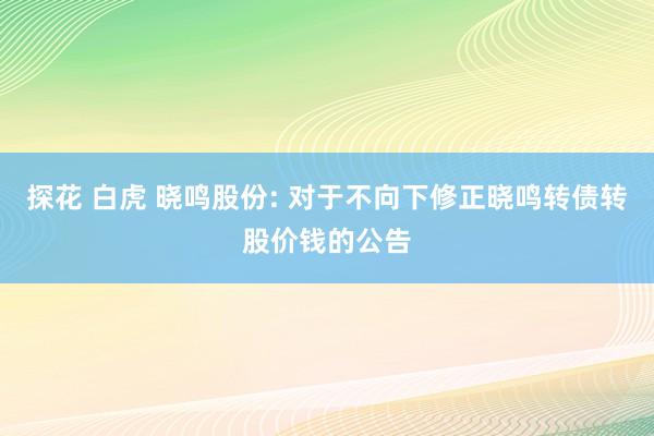 探花 白虎 晓鸣股份: 对于不向下修正晓鸣转债转股价钱的公告