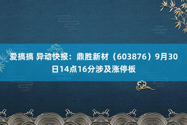 爱搞搞 异动快报：鼎胜新材（603876）9月30日14点16分涉及涨停板