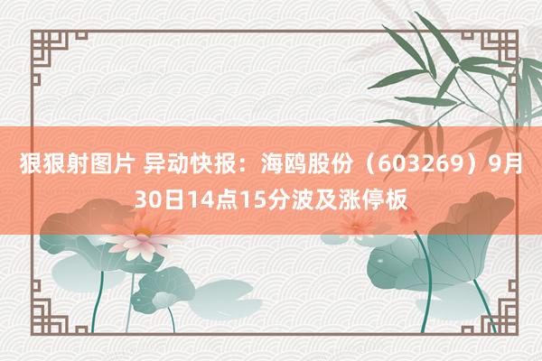 狠狠射图片 异动快报：海鸥股份（603269）9月30日14点15分波及涨停板