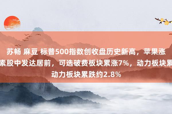 苏畅 麻豆 标普500指数创收盘历史新高，苹果涨超2%在因素股中发达居前，可选破费板块累涨7%，动力板块累跌约2.8%