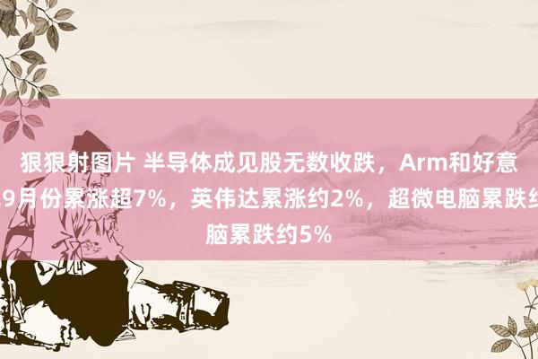 狠狠射图片 半导体成见股无数收跌，Arm和好意思光9月份累涨超7%，英伟达累涨约2%，超微电脑累跌约5%