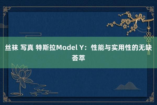 丝袜 写真 特斯拉Model Y：性能与实用性的无缺荟萃