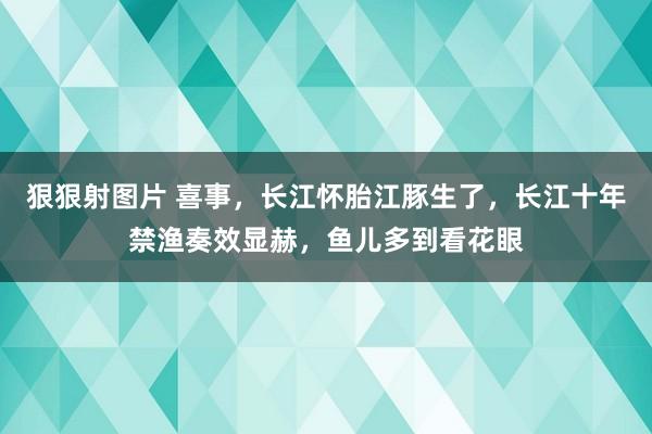 狠狠射图片 喜事，长江怀胎江豚生了，长江十年禁渔奏效显赫，鱼儿多到看花眼