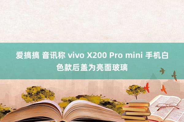 爱搞搞 音讯称 vivo X200 Pro mini 手机白色款后盖为亮面玻璃