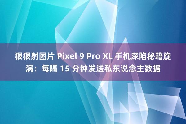 狠狠射图片 Pixel 9 Pro XL 手机深陷秘籍旋涡：每隔 15 分钟发送私东说念主数据