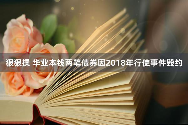 狠狠操 华业本钱两笔债券因2018年行使事件毁约