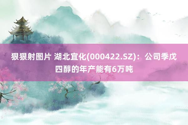 狠狠射图片 湖北宜化(000422.SZ)：公司季戊四醇的年产能有6万吨