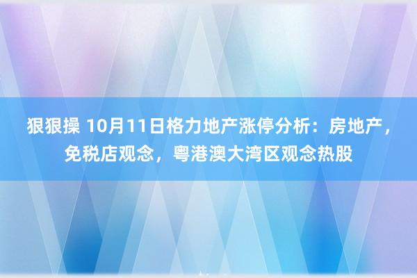 狠狠操 10月11日格力地产涨停分析：房地产，免税店观念，粤港澳大湾区观念热股