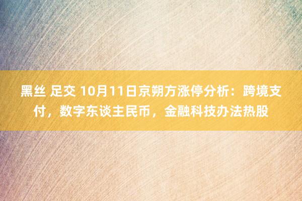 黑丝 足交 10月11日京朔方涨停分析：跨境支付，数字东谈主民币，金融科技办法热股