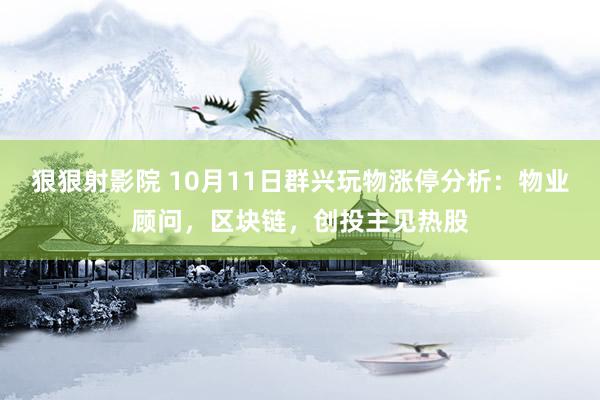 狠狠射影院 10月11日群兴玩物涨停分析：物业顾问，区块链，创投主见热股