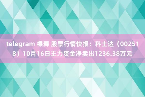 telegram 裸舞 股票行情快报：科士达（002518）10月16日主力资金净卖出1236.38万元