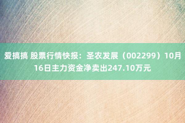 爱搞搞 股票行情快报：圣农发展（002299）10月16日主力资金净卖出247.10万元