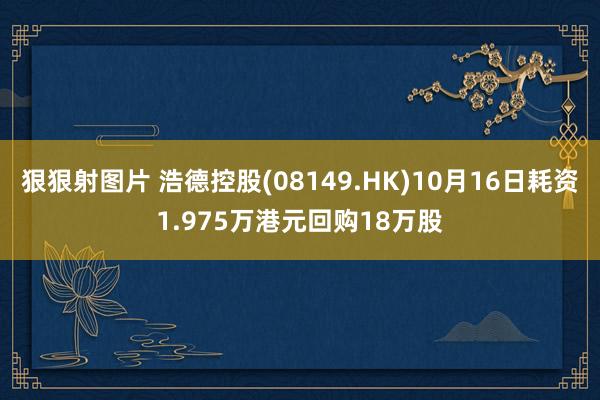 狠狠射图片 浩德控股(08149.HK)10月16日耗资1.975万港元回购18万股