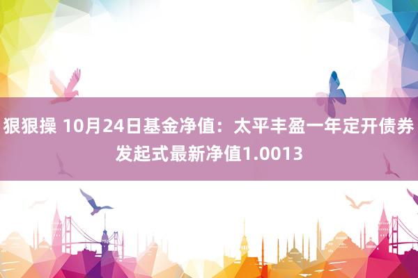 狠狠操 10月24日基金净值：太平丰盈一年定开债券发起式最新净值1.0013