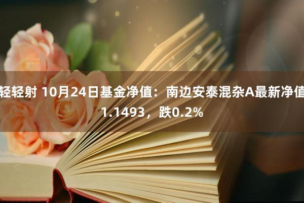 轻轻射 10月24日基金净值：南边安泰混杂A最新净值1.1493，跌0.2%