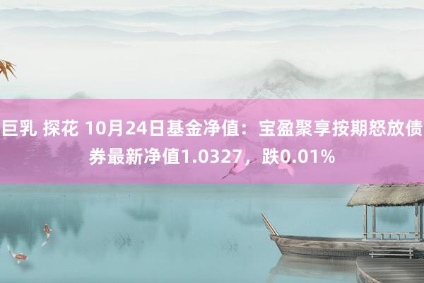 巨乳 探花 10月24日基金净值：宝盈聚享按期怒放债券最新净值1.0327，跌0.01%