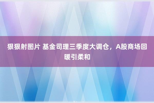 狠狠射图片 基金司理三季度大调仓，A股商场回暖引柔和