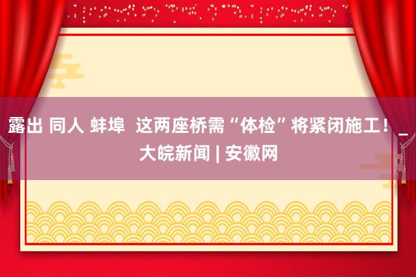 露出 同人 蚌埠  这两座桥需“体检”将紧闭施工！_大皖新闻 | 安徽网