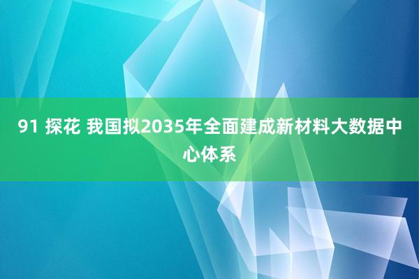 91 探花 我国拟2035年全面建成新材料大数据中心体系