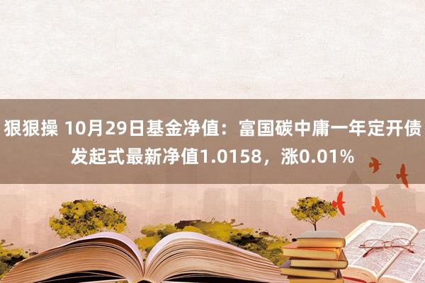 狠狠操 10月29日基金净值：富国碳中庸一年定开债发起式最新净值1.0158，涨0.01%