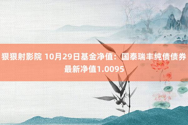 狠狠射影院 10月29日基金净值：国泰瑞丰纯债债券最新净值1.0095