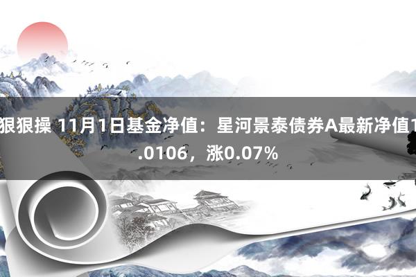 狠狠操 11月1日基金净值：星河景泰债券A最新净值1.0106，涨0.07%