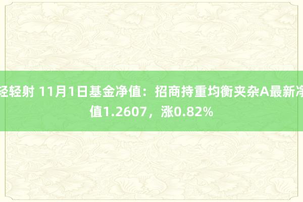 轻轻射 11月1日基金净值：招商持重均衡夹杂A最新净值1.2607，涨0.82%