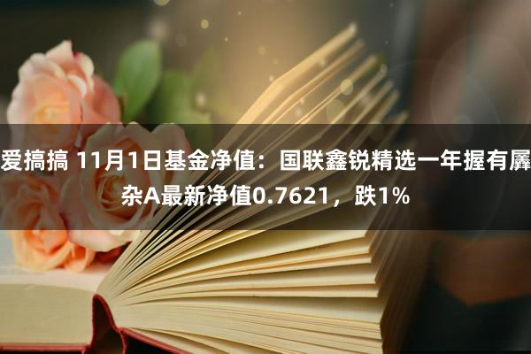 爱搞搞 11月1日基金净值：国联鑫锐精选一年握有羼杂A最新净值0.7621，跌1%