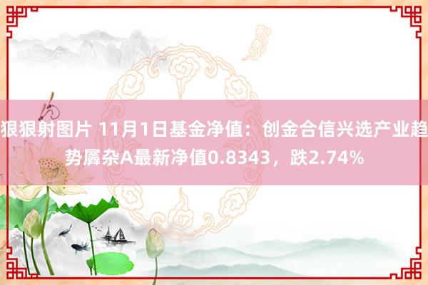 狠狠射图片 11月1日基金净值：创金合信兴选产业趋势羼杂A最新净值0.8343，跌2.74%