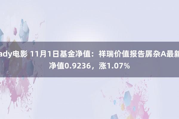 ady电影 11月1日基金净值：祥瑞价值报告羼杂A最新净值0.9236，涨1.07%