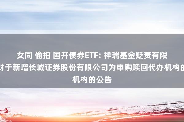 女同 偷拍 国开债券ETF: 祥瑞基金贬责有限公司对于新增长城证券股份有限公司为申购赎回代办机构的公告