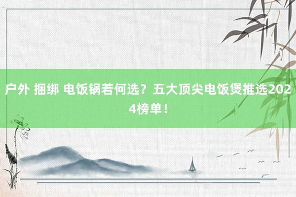 户外 捆绑 电饭锅若何选？五大顶尖电饭煲推选2024榜单！