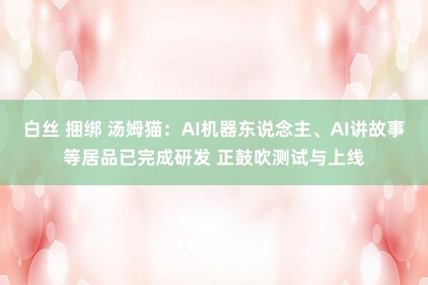 白丝 捆绑 汤姆猫：AI机器东说念主、AI讲故事等居品已完成研发 正鼓吹测试与上线