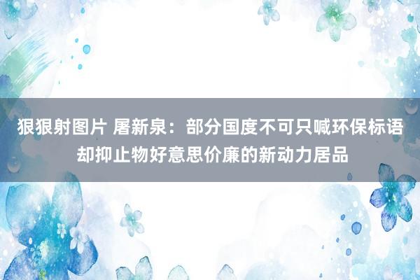 狠狠射图片 屠新泉：部分国度不可只喊环保标语 却抑止物好意思价廉的新动力居品