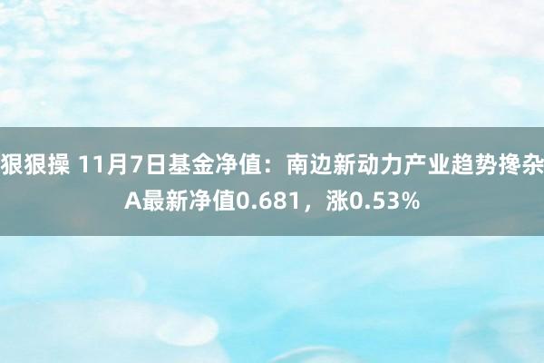 狠狠操 11月7日基金净值：南边新动力产业趋势搀杂A最新净值0.681，涨0.53%