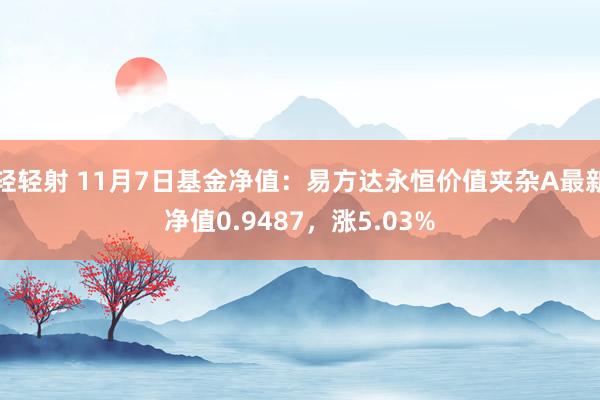 轻轻射 11月7日基金净值：易方达永恒价值夹杂A最新净值0.9487，涨5.03%