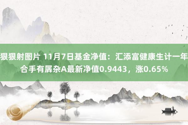 狠狠射图片 11月7日基金净值：汇添富健康生计一年合手有羼杂A最新净值0.9443，涨0.65%