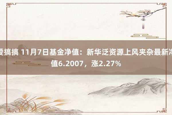 爱搞搞 11月7日基金净值：新华泛资源上风夹杂最新净值6.2007，涨2.27%