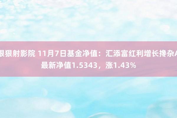 狠狠射影院 11月7日基金净值：汇添富红利增长搀杂A最新净值1.5343，涨1.43%